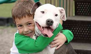 boy-with-pit-bull-Tumblr